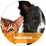 Mascotas