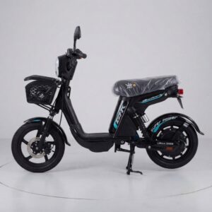 Moto electrica GR 45 amp y 48 volt litio bateria