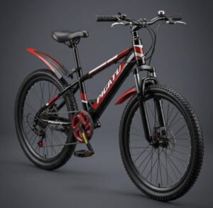 Bicicleta de Montaña Pigatu DY-008 (Aro 24)